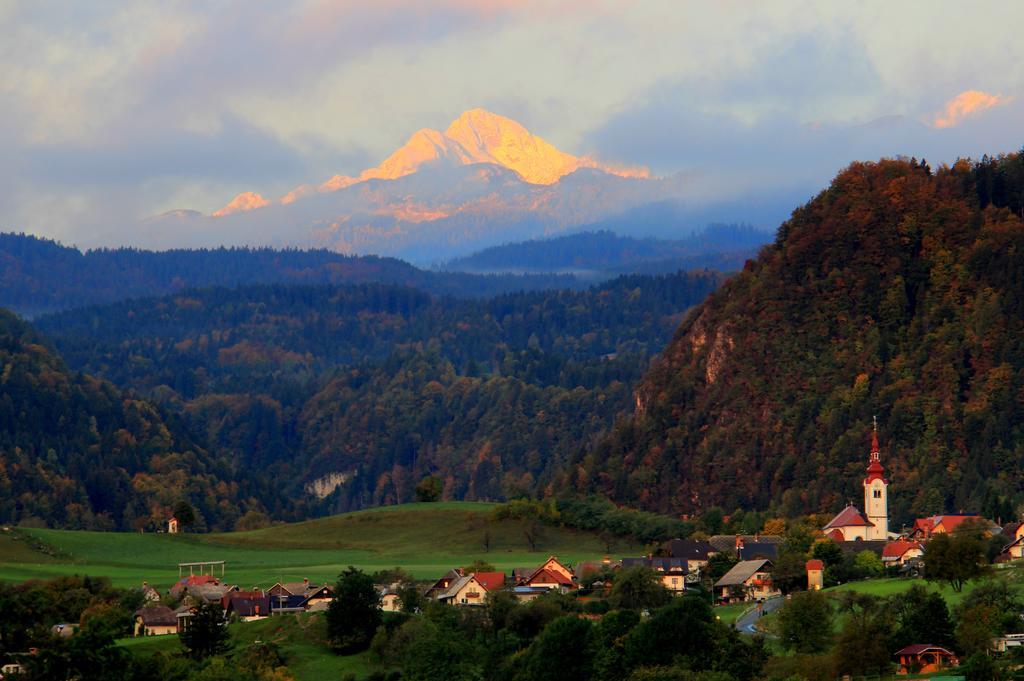 Apartment Natur Bled Cameră foto
